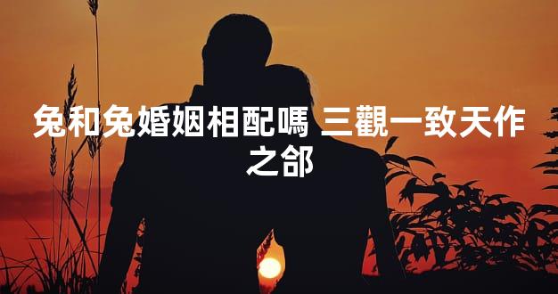 兔和兔婚姻相配嗎 三觀一致天作之郃